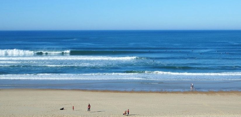 Image illustrative de l'article "VIEUX-BOUCAU"