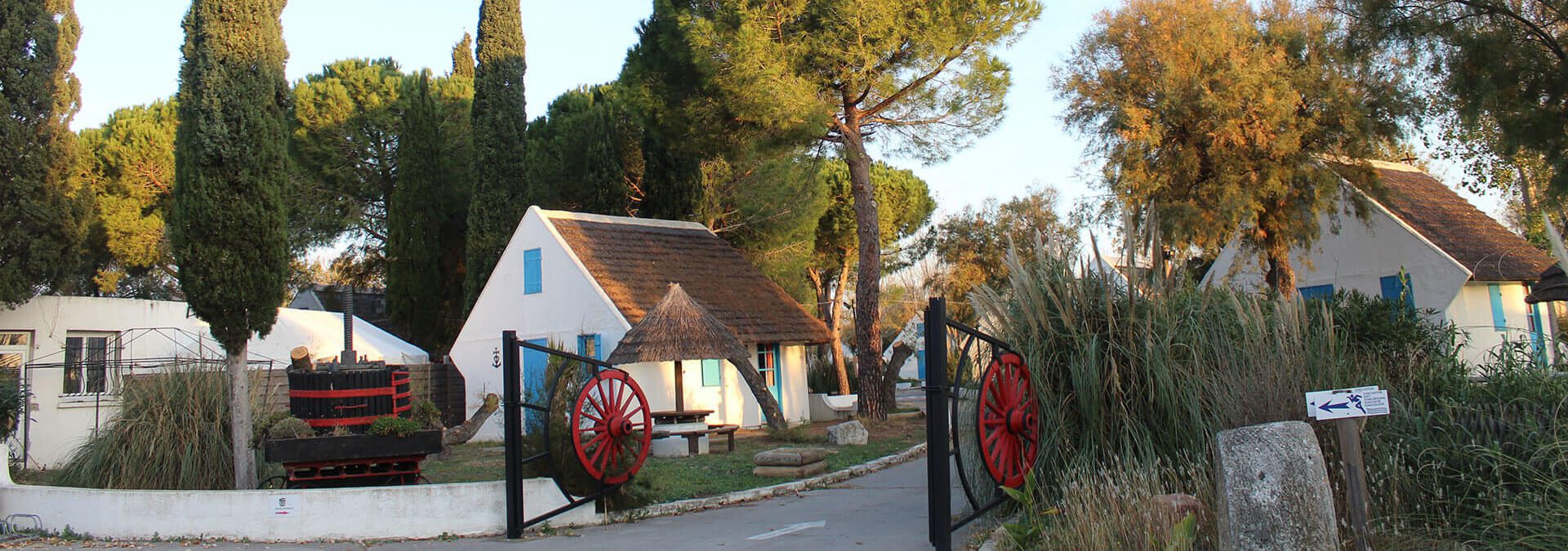 Image d'une slide du swiper