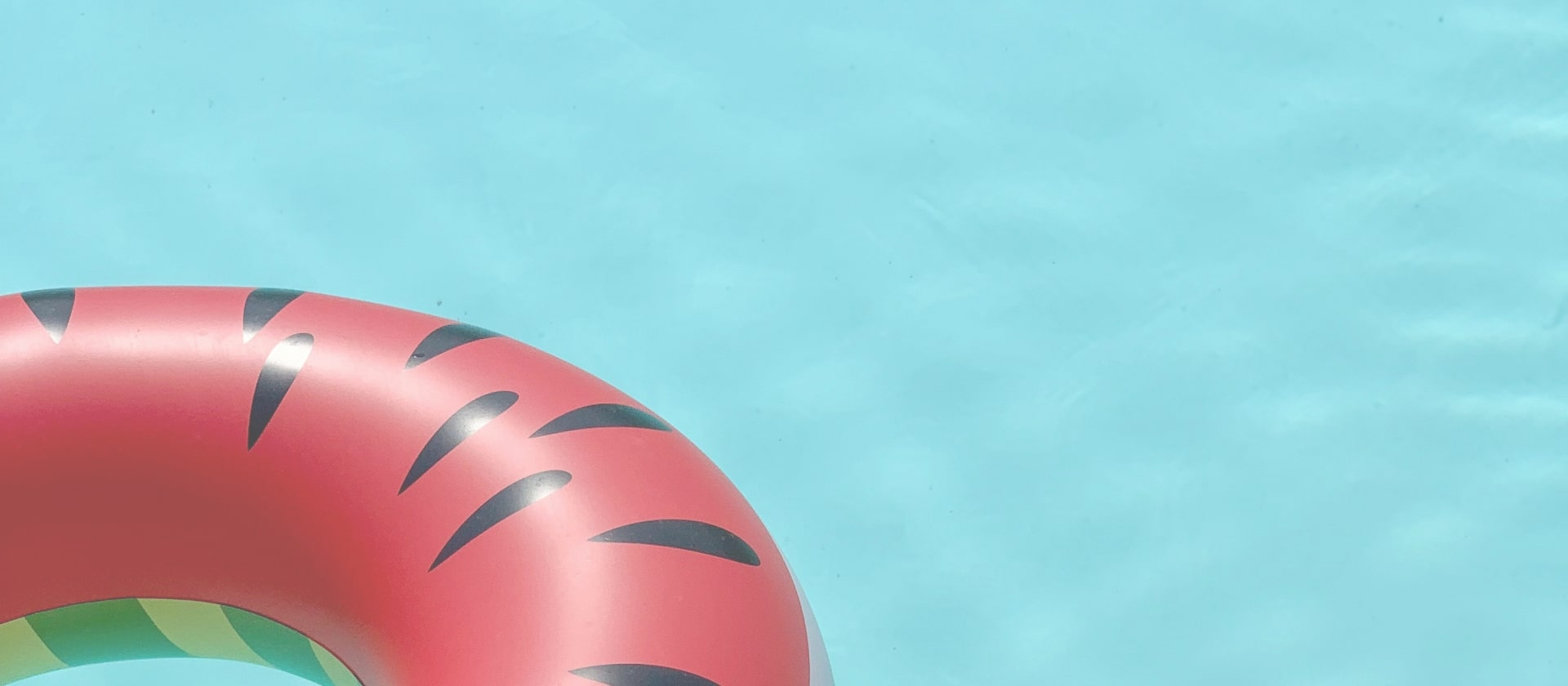 Image illustrative de l'article "Retour en images :  Les moments forts du dernier  week-end d’intégration"